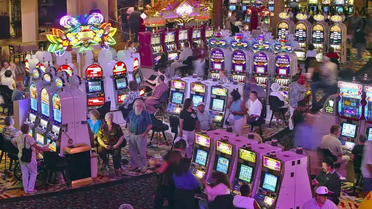 Slots 71win - Sweet Bonanza e caça-níqueis populares